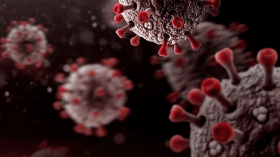 В Індії зафіксували найменше нових випадків COVID-19 за 2 місяці