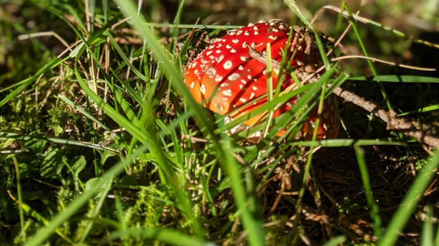 Синоптики обіцяють погоду з контрастами: дощі, сонце і вітер