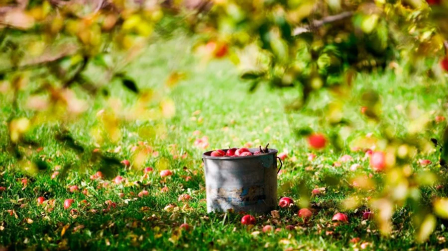 Синоптики прогнозують комфортний четвер 