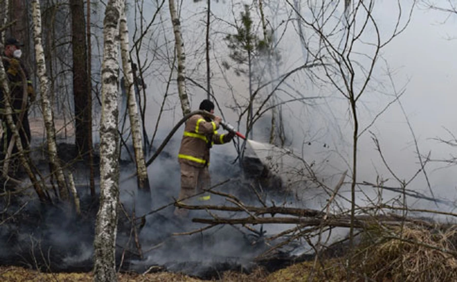 Воздух из Чернобыля движется на западные районы Киевщины – Кульбида