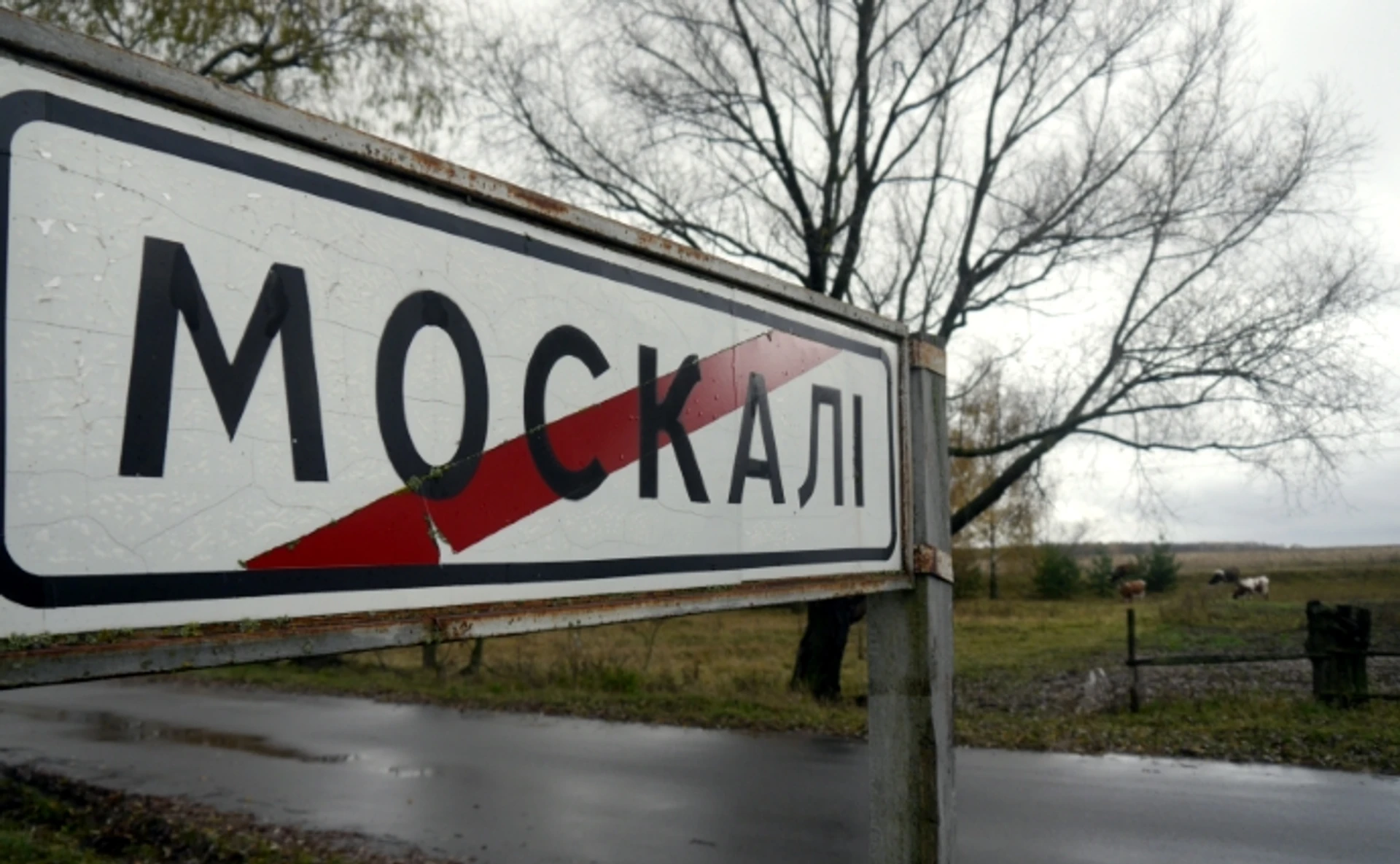 Як живуть люди в селі Москалі