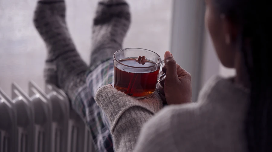 Winter is delayed: forecasters predict up to 2° of heat and rain in the south