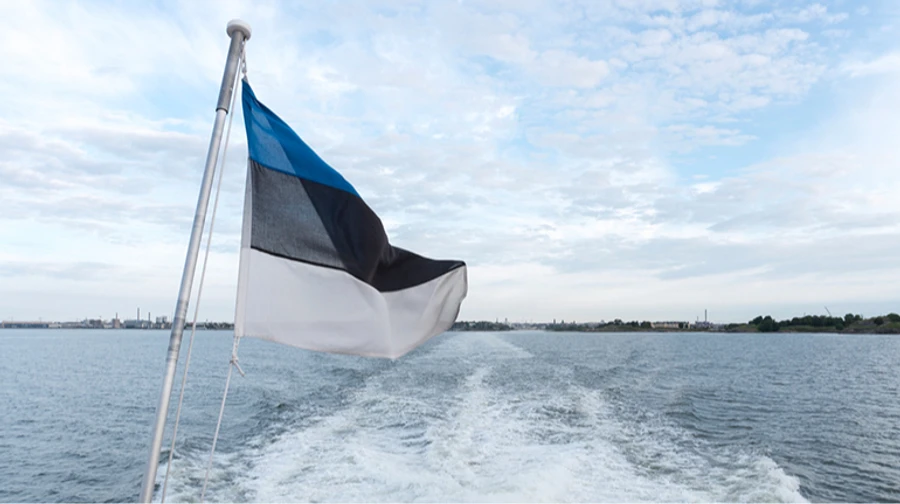 Estonian foreign minister responds to Russian strike on Ukraine's nuclear waste storage facility