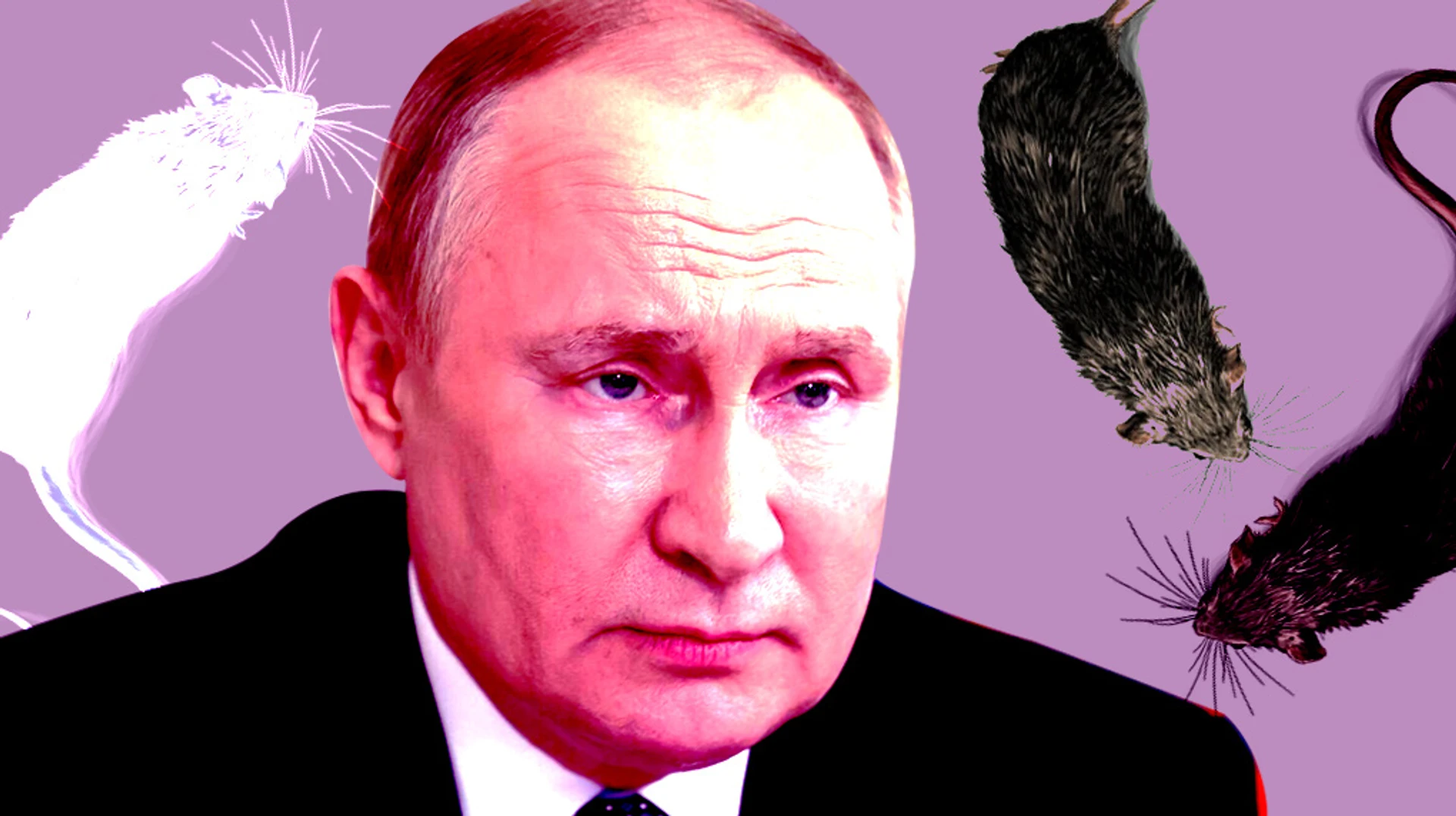 Світ справжнього