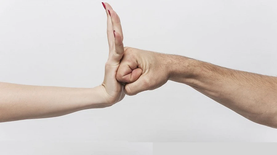 Петиция до Зеленского с призывом ратифицировать Стамбульскую конвенцию набрала голоса