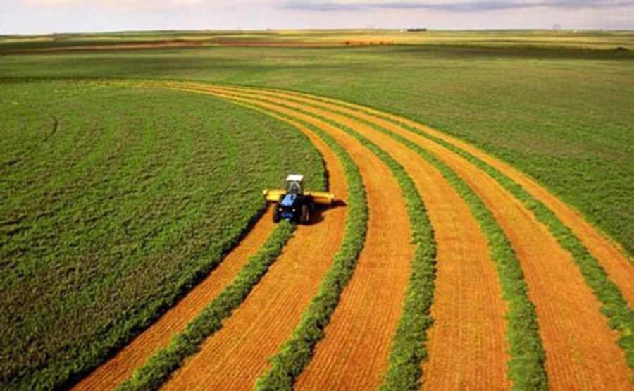 Рынок земли в Раде могут рассматривать от 3 часов до 2 месяцев – советник премьера