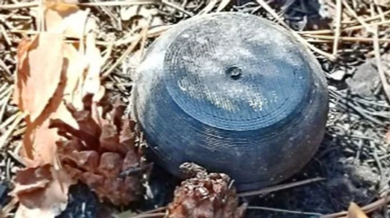 В районі Нікополя росіяни почали розкидати малопомітні міни Пряник