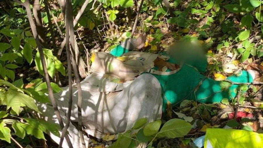 Officers discover 25 convoy shooting victims in Kharkiv Oblast; female victim seemingly crawled 200m before death