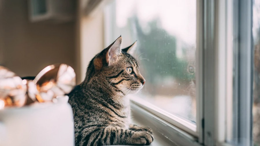 В Украине будет прохладно и сыро