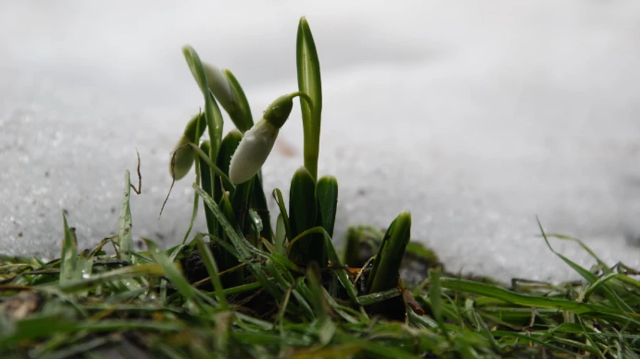 Ночью морозец, днем до +13°: синоптики дали прогноз на ближайшие дни