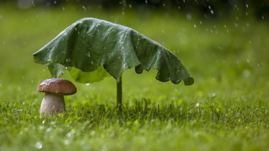 В Україну йде відчутне похолодання