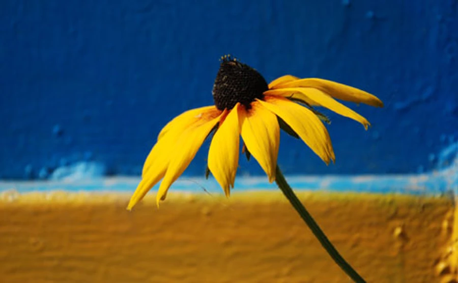 Бабье лето в Киеве принесло два температурных рекорда