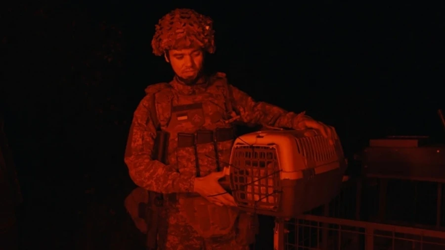 Ukrainian soldiers evacuate cat from front line using ground drone – photo, video