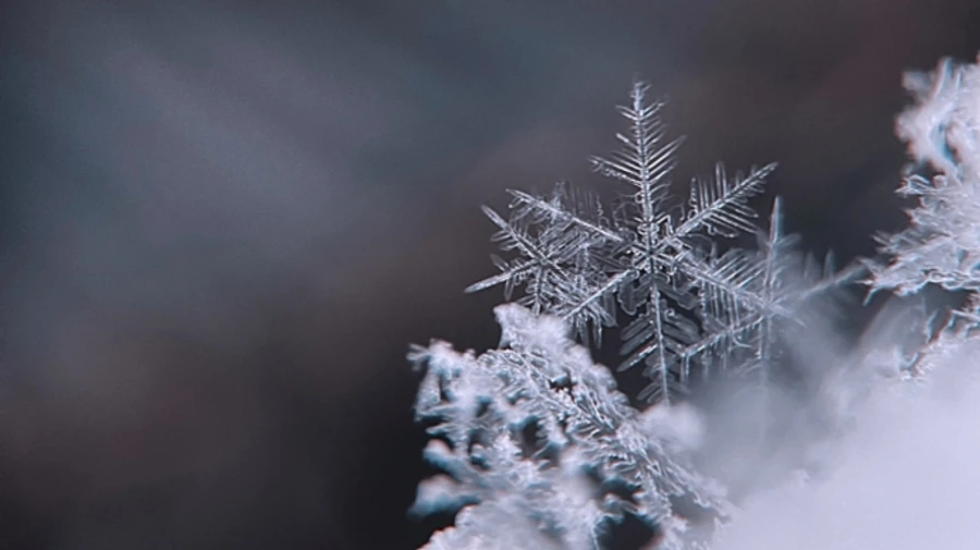 Дождь, снег и гололедица: синоптики предупредили об ухудшении погоды