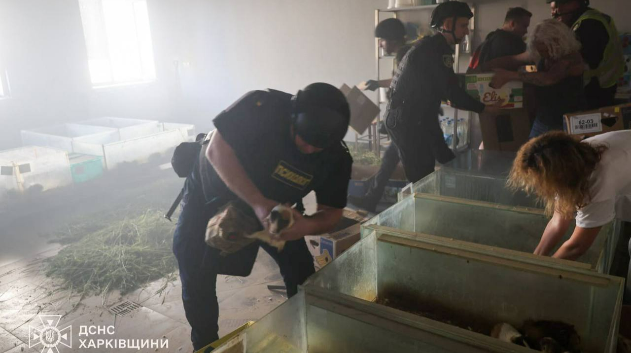 Russians hit Kharkiv: zoo hit, several animals killed – photos
