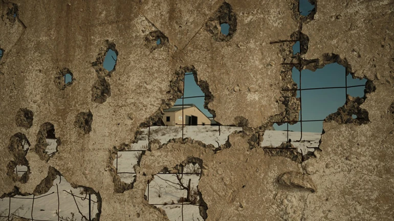 Дві тисячі вбитих корів, збитки на мільярд та робота на руїнах. Як ферма на Харківщині відновлюється після окупації та знущань росіян