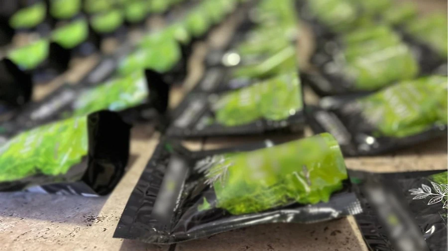 Наркотик кратом під виглядом чаю матча: вилучено тонну речовини, затримано киянина