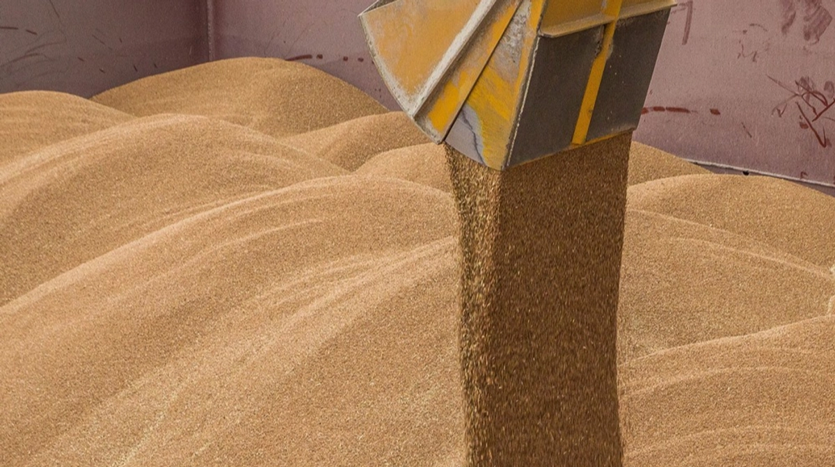 Turkey Might Shift Away from Russian Wheat Turkey Might Shift Away from Russian Wheat