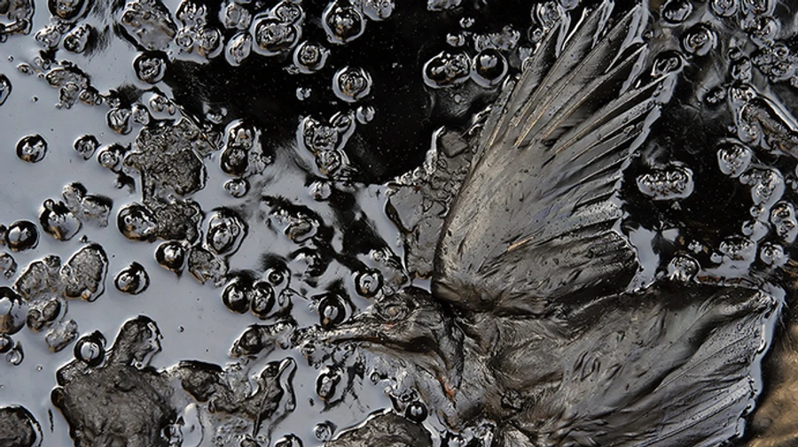 At least 32 facilities with fuel and lubricants were flooded in Kherson Oblast – Greenpeace