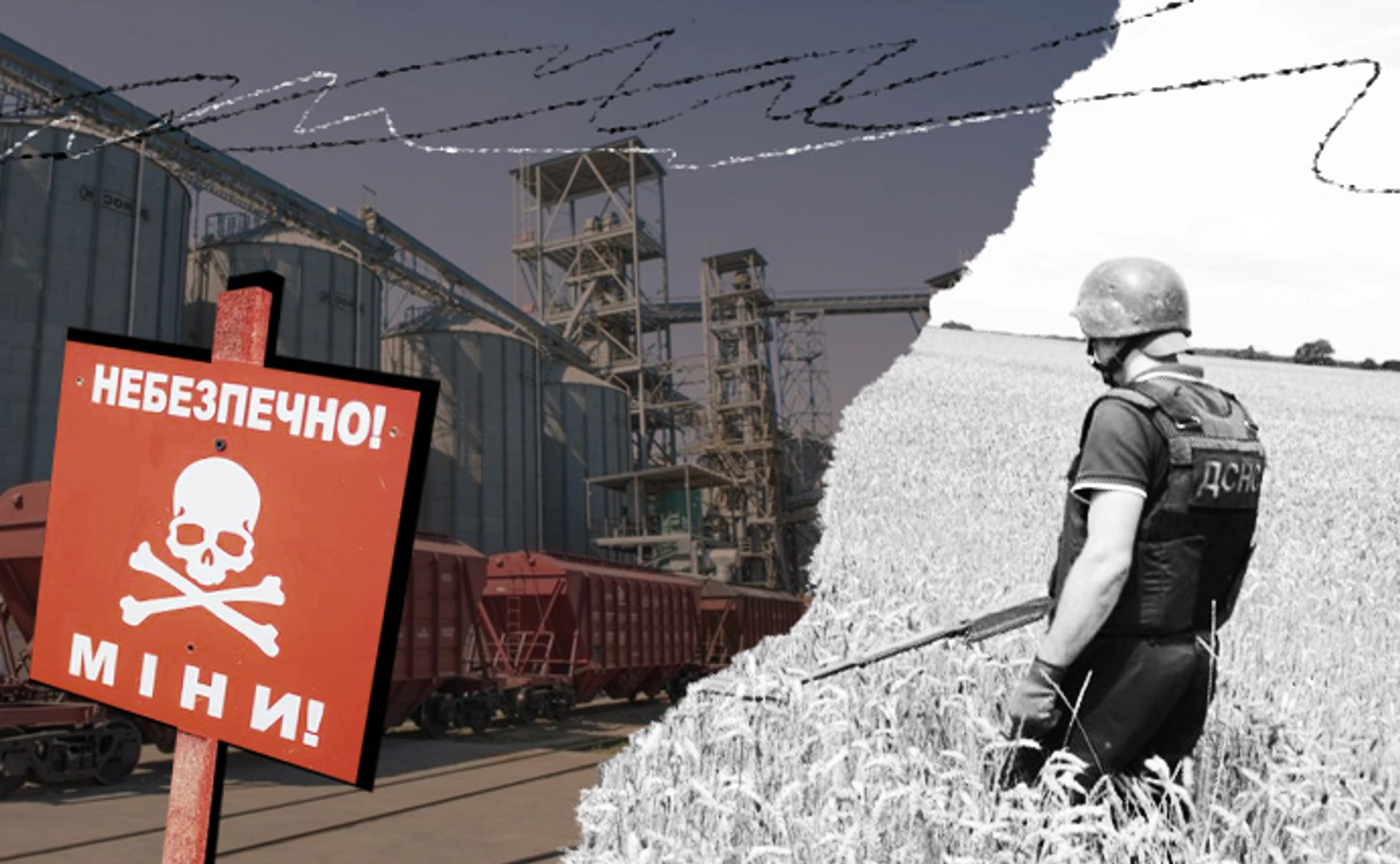 Заміновані поля: як їх повертають до життя і чи вистачить нам хліба?