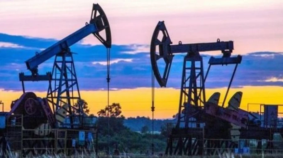 Семья Злочевского отказалась от 2 лицензий на добычу недр – Данилов