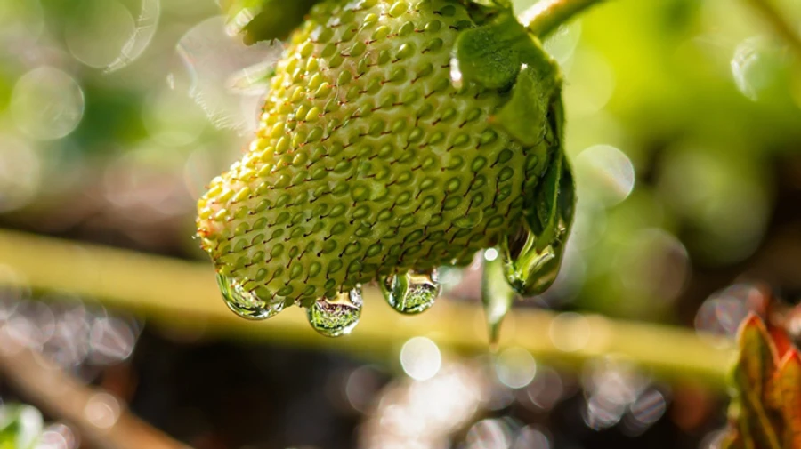 Синоптик обещает погодные аттракционы с градом, шквалами и жарой