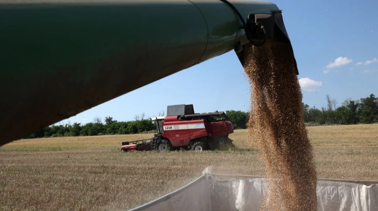 Украинский агробизнес в прошлом году увеличил доходы на 7%: какие компании заработали более миллиарда