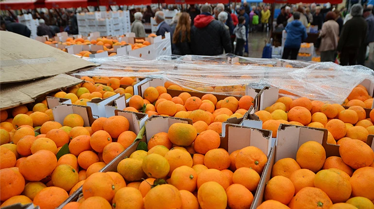 Новорічний атрибут: скільки Україна купує мандаринів і як заробляють країни-експортери
