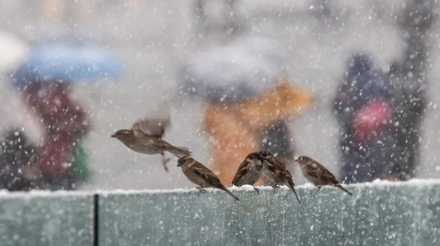 На Киевщине во вторник ожидается мокрый снег. На дорогах - гололедица
