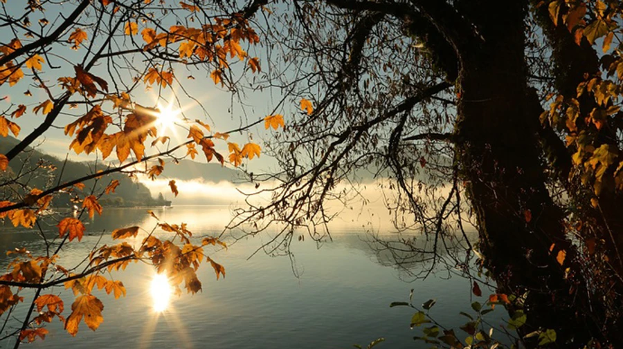 В Україну йде потепління