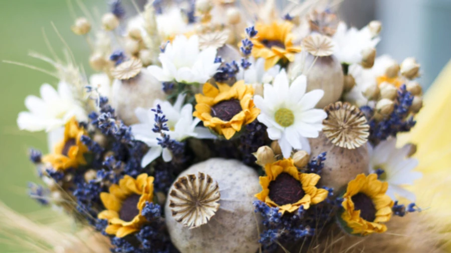 На Маковея синоптик обіцяє чудову погоду, Україну розігріватиме антициклон