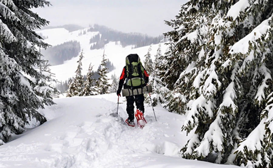 Під Новий рік в Карпатах врятували 11 туристів