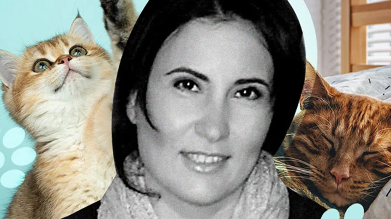 Евакуювала понад 100 котів: історія волонтерки, яка застрягла в Росії разом з рідними та тваринами