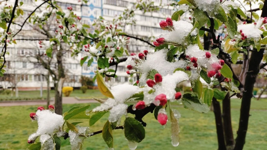 В субботу в Украине местами дожди с мокрым снегом, а в дальнейшем потеплеет