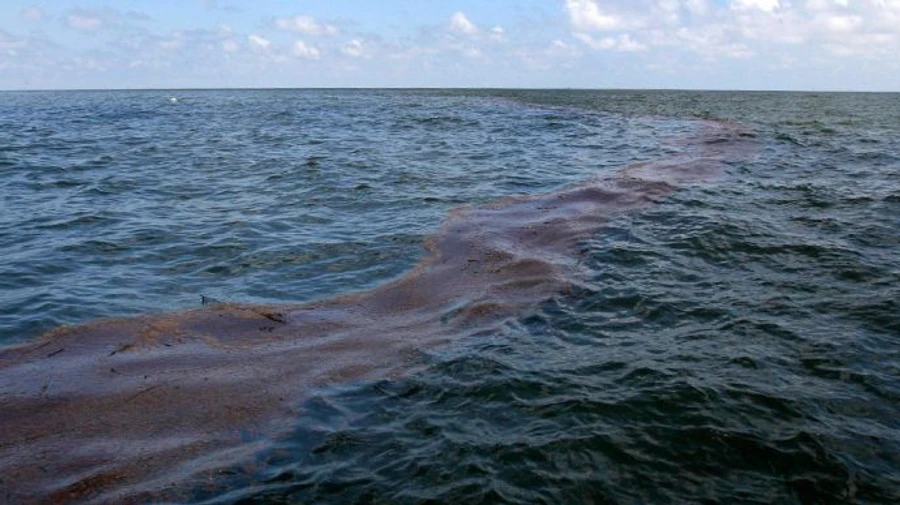 Нафтова пляма прямує до Криму – Асоціація реінтеграції півострова