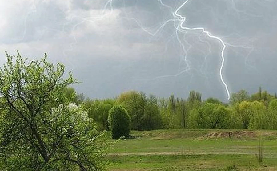 Прохолоду і дощ прогнозують синоптики майже до кінця липня