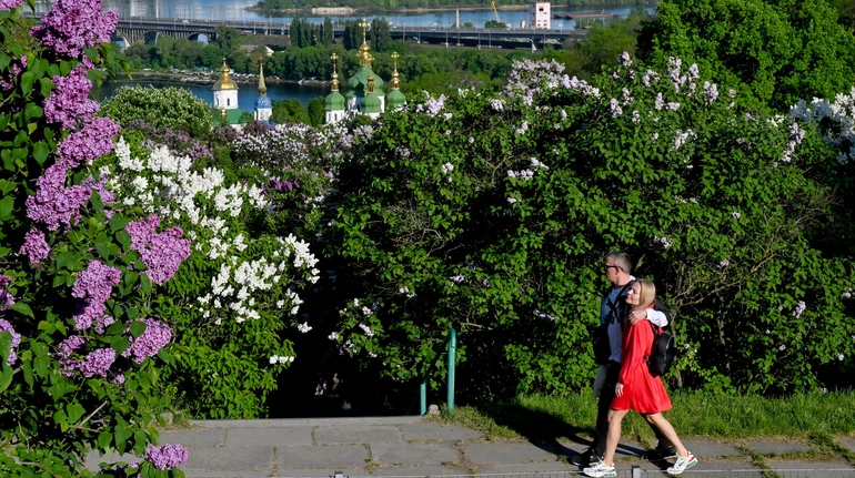 Опрос: 65% украинцев не поддерживают ни одну из сторон в войне США и Израиля против Ирана