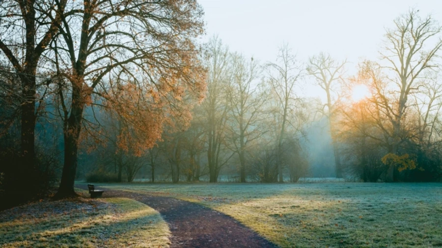 Синоптики дали прогноз на вихідні: від морозу до туману