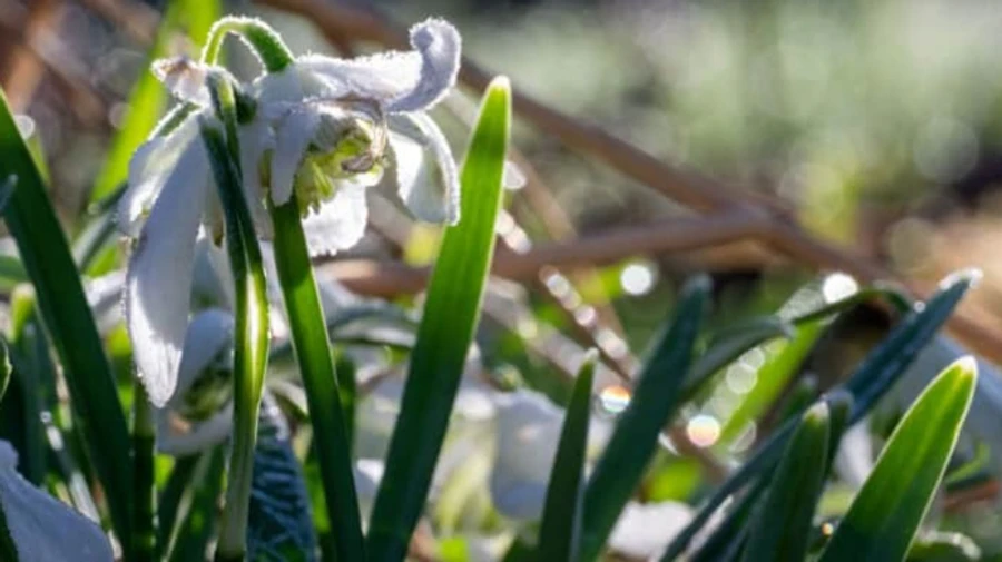 В Україні прогнозують тепло та сонце