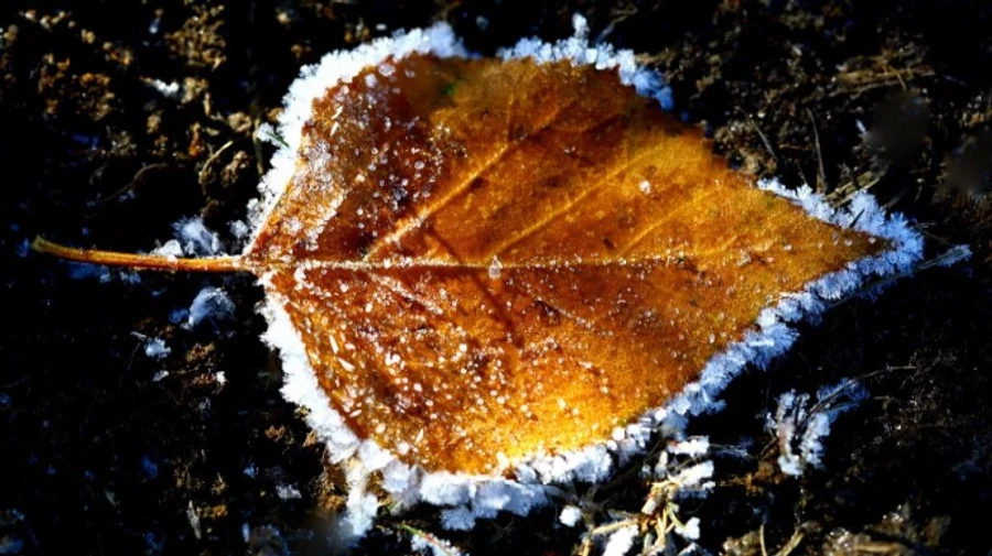 В Україну йде нічне похолодання