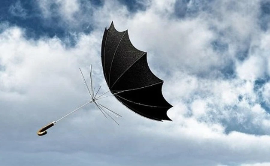 В Киеве ночью ожидаются сильные порывы ветра