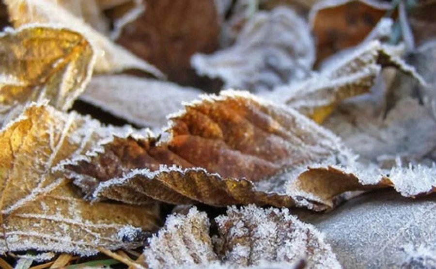 В Украине будет холодно, в Карпатах – мокрый снег