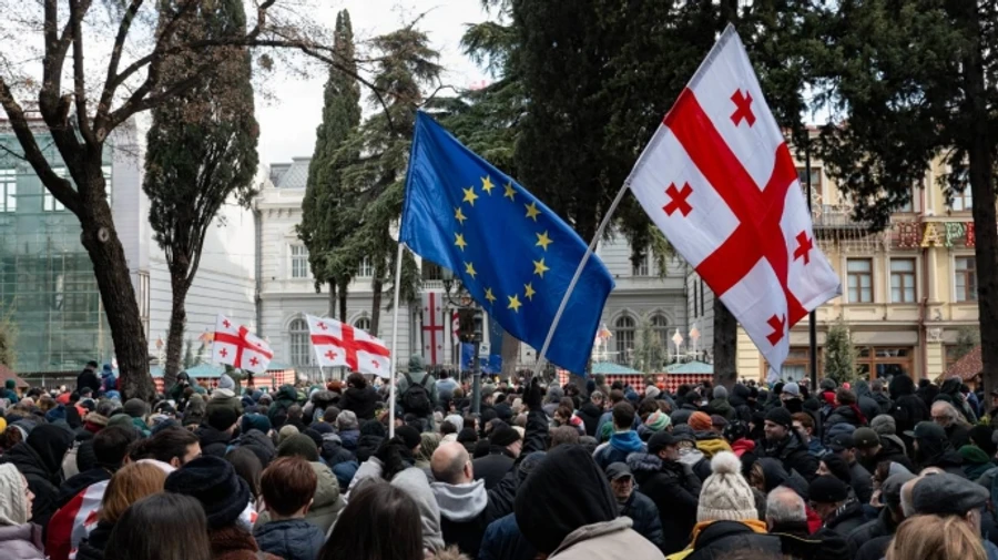 ПАСЕ одобрила санкции против Грузии и требует от властей досрочные выборы