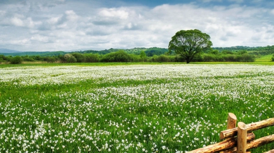 Во вторник ожидается сухая и теплая погода