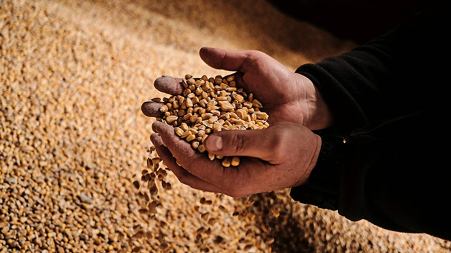 Agricultural imports from Ukraine: Bulgarian parliament supports ban lifting