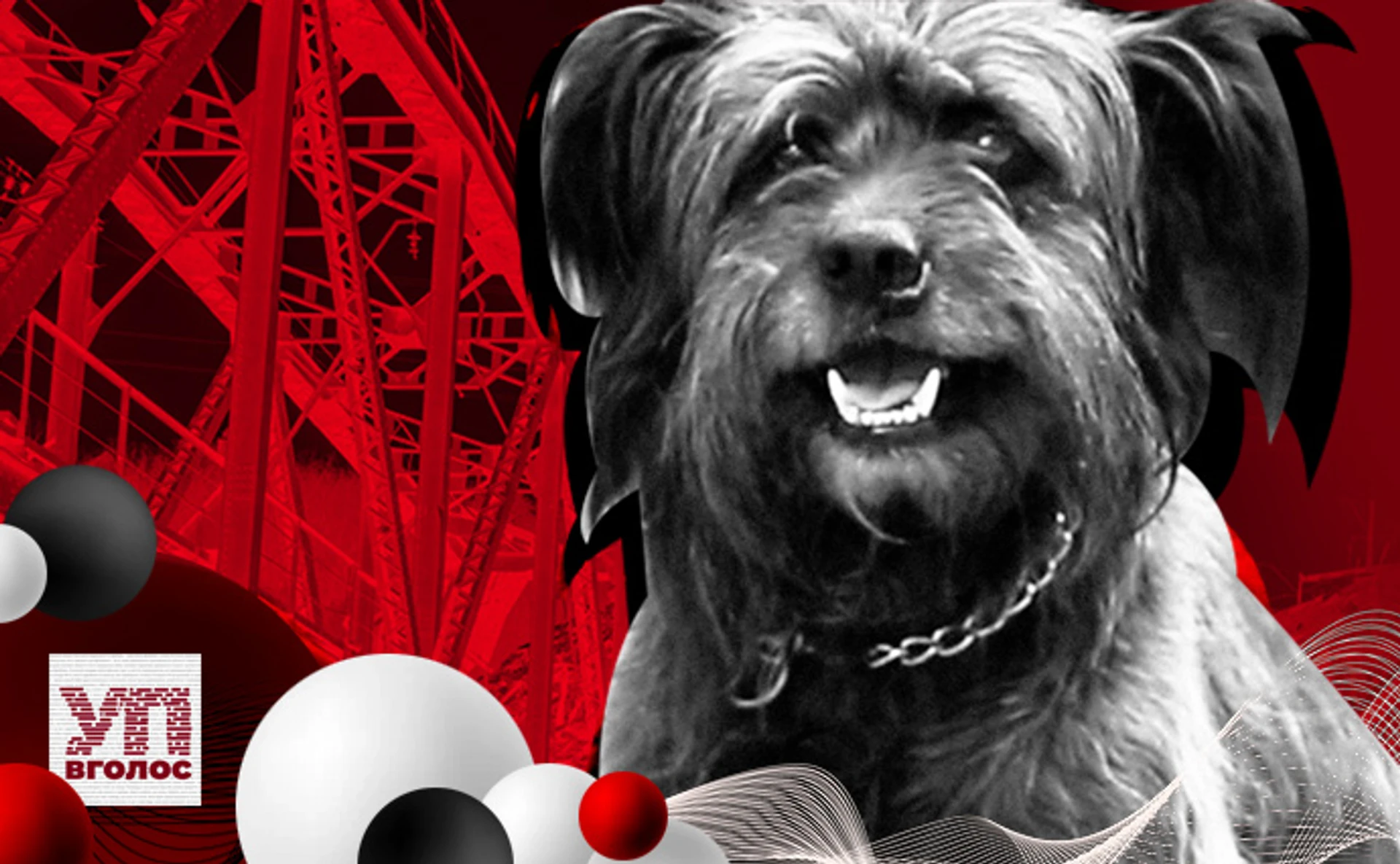 Гречана каша зі смаком смерті. Як кудлатий пес Кузя пережив окупацію Ірпеня. Аудіоверсія