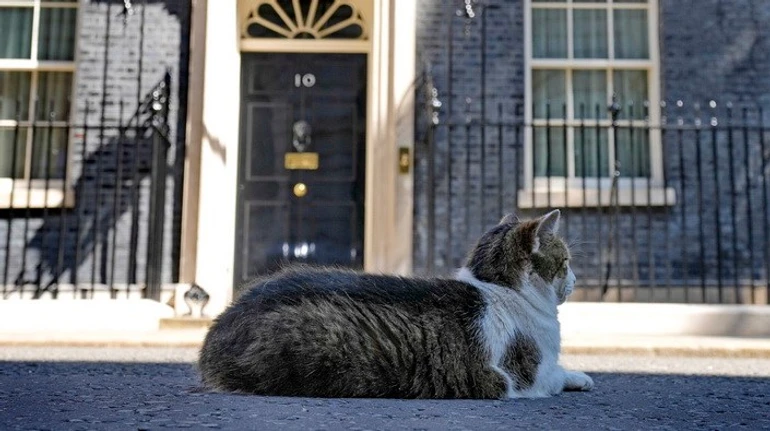 Після Джонсона: хто стане новим прем'єром Великої Британії