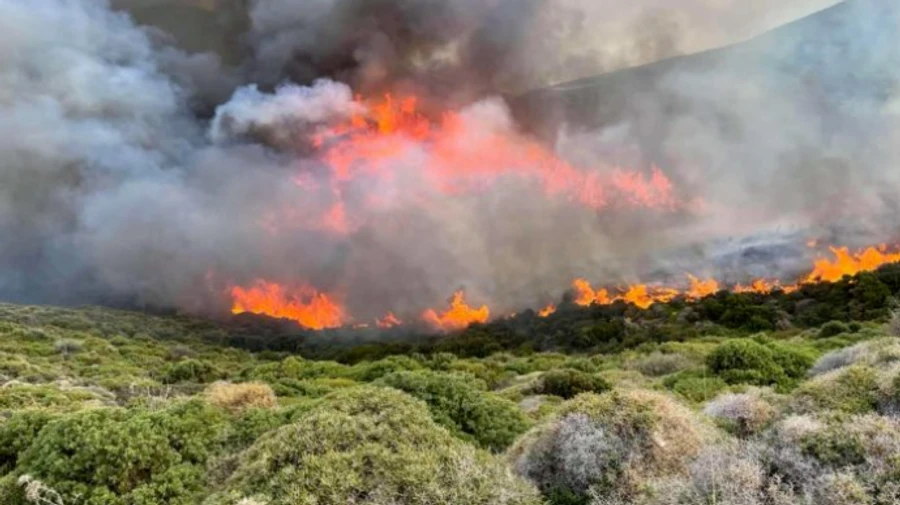 У Греції гасять одну з найбільших пожеж за 30 років