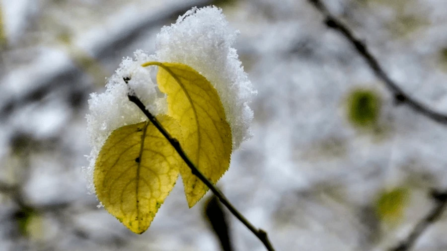 У Києві третій день поспіль плюсовий температурний рекорд