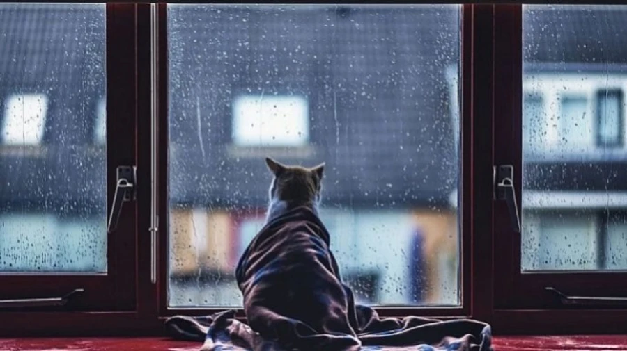 Україну заливатимуть дощі, негода омине лише три області